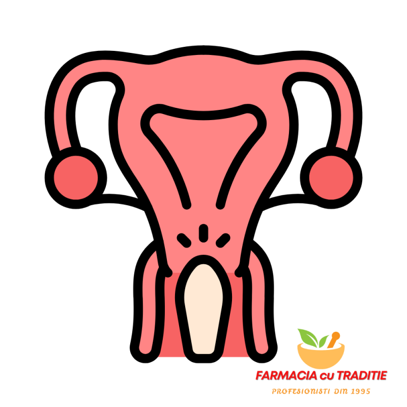 OVULE TRATAMENT cu Metronidazol, Clotrimazol - 10 ovule,preparat in farmacie